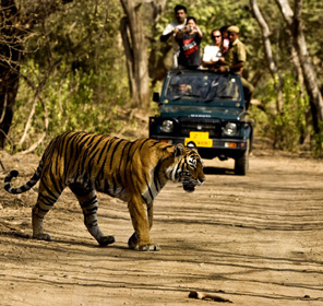 Corbett-national-park